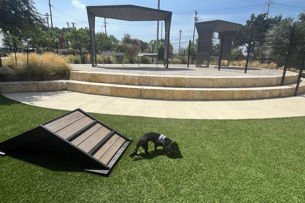 Coyote Dog Park photo 1